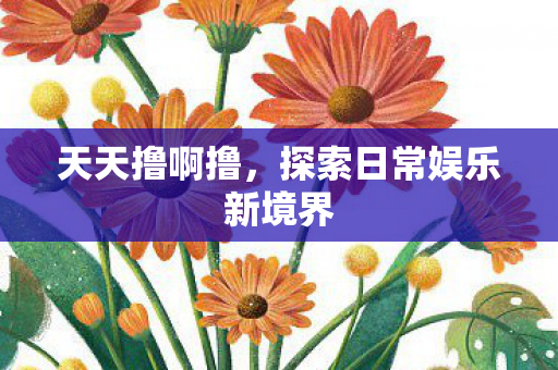 天天撸啊撸，探索日常娱乐新境界