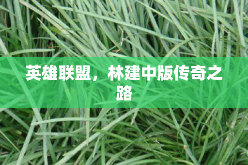 英雄联盟，林建中版传奇之路