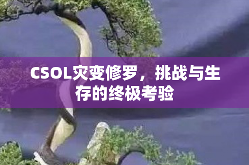 CSOL灾变修罗，挑战与生存的终极考验