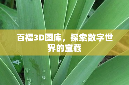 百福3D图库，探索数字世界的宝藏