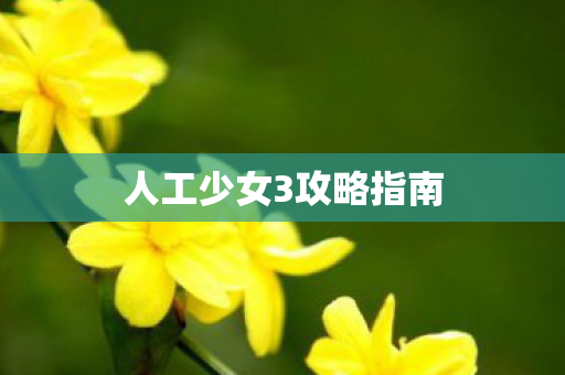 人工少女3攻略指南