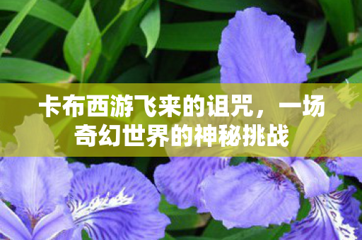卡布西游飞来的诅咒，一场奇幻世界的神秘挑战