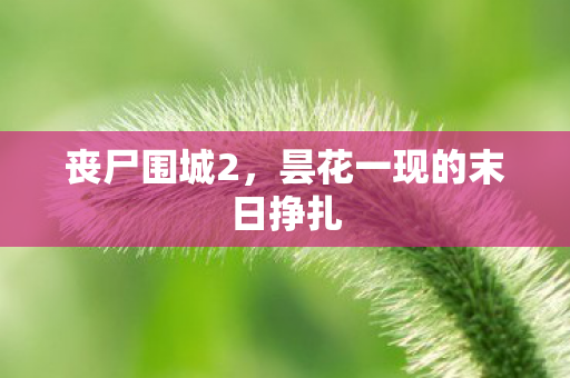 丧尸围城2，昙花一现的末日挣扎