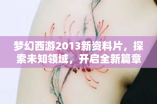 梦幻西游2013新资料片，探索未知领域，开启全新篇章