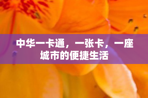 中华一卡通，一张卡，一座城市的便捷生活