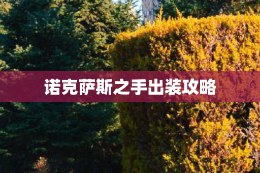 诺克萨斯之手出装攻略