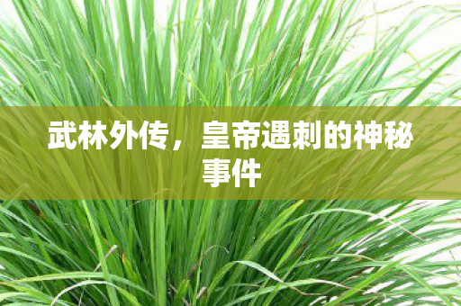 武林外传，皇帝遇刺的神秘事件