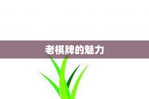 老棋牌的魅力