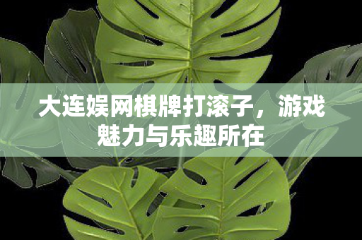 大连娱网棋牌打滚子，游戏魅力与乐趣所在