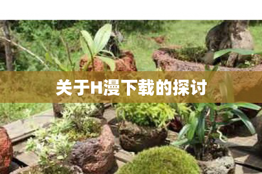 关于H漫下载的探讨