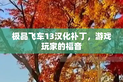 极品飞车13汉化补丁，游戏玩家的福音