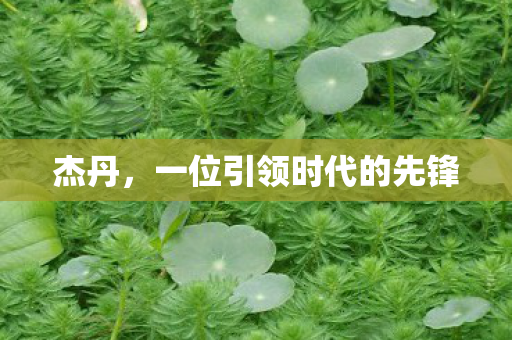 杰丹，一位引领时代的先锋