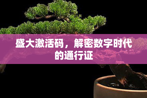 盛大激活码，解密数字时代的通行证