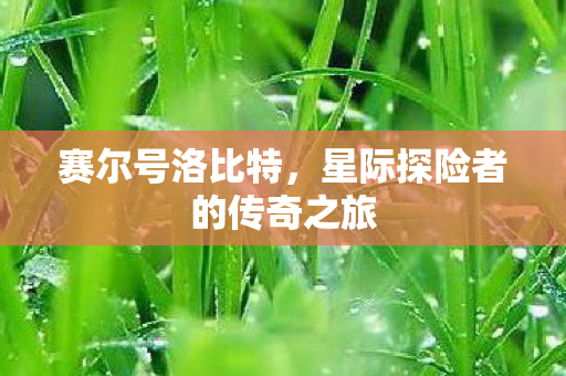 赛尔号洛比特，星际探险者的传奇之旅