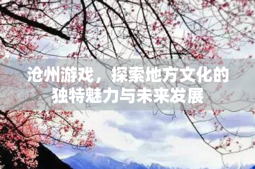 沧州游戏，探索地方文化的独特魅力与未来发展