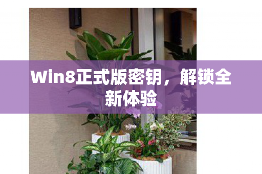 Win8正式版密钥，解锁全新体验