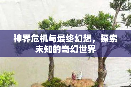 神界危机与最终幻想，探索未知的奇幻世界