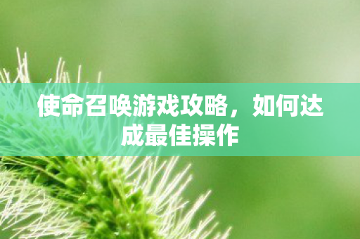 使命召唤游戏攻略，如何达成最佳操作