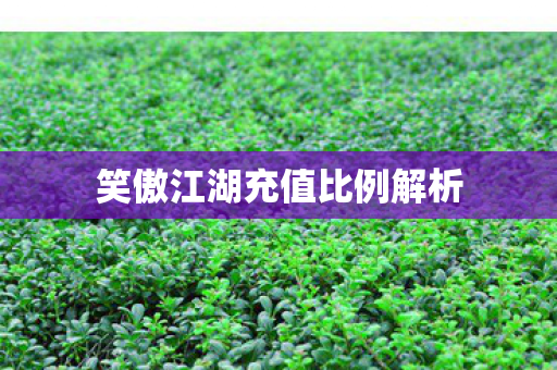 笑傲江湖充值比例解析