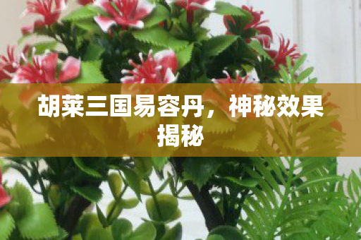 胡莱三国易容丹，神秘效果揭秘