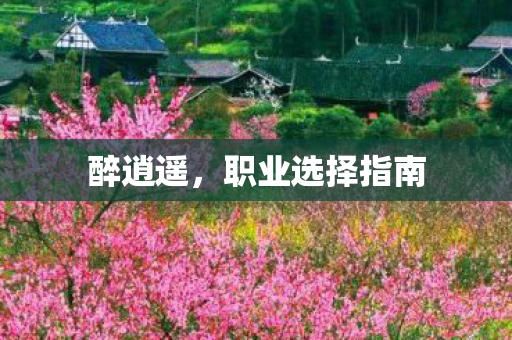 醉逍遥，职业选择指南