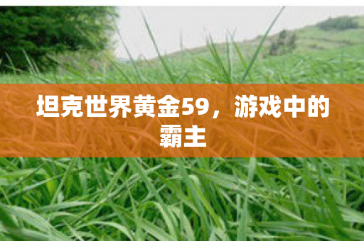 坦克世界黄金59，游戏中的霸主