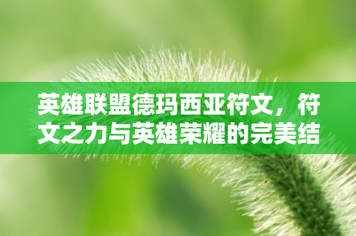 英雄联盟德玛西亚符文,符文之力与英雄荣耀的完美结合