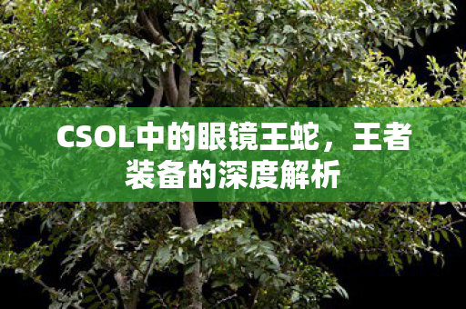 CSOL中的眼镜王蛇，王者装备的深度解析