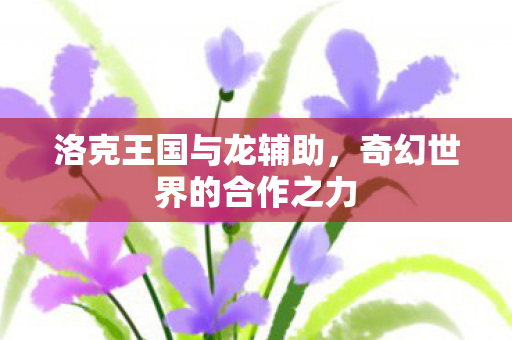 洛克王国与龙辅助，奇幻世界的合作之力