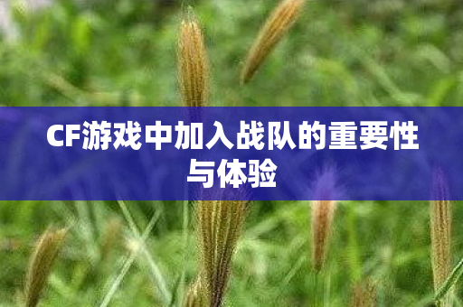 CF游戏中加入战队的重要性与体验