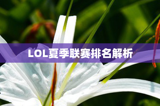 LOL夏季联赛排名解析