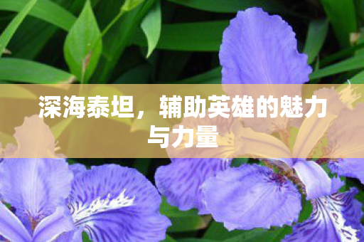 深海泰坦,辅助英雄的魅力与力量