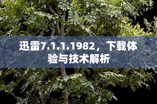 迅雷7.1.1.1982，下载体验与技术解析