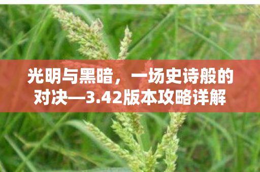 光明与黑暗，一场史诗般的对决—3.42版本攻略详解
