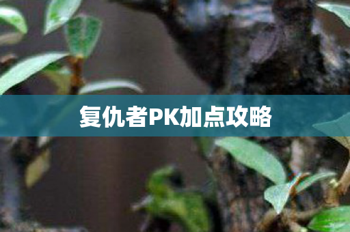 复仇者PK加点攻略
