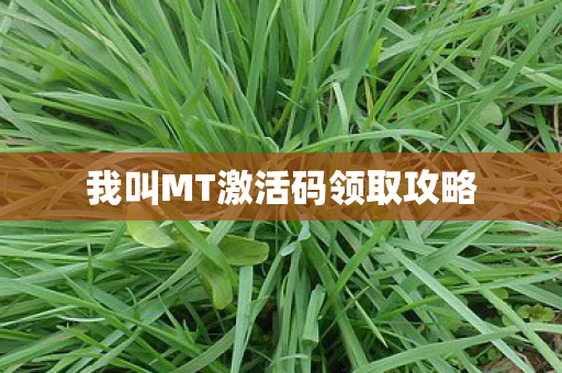 我叫MT激活码领取攻略