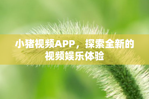 小猪视频APP，探索全新的视频娱乐体验
