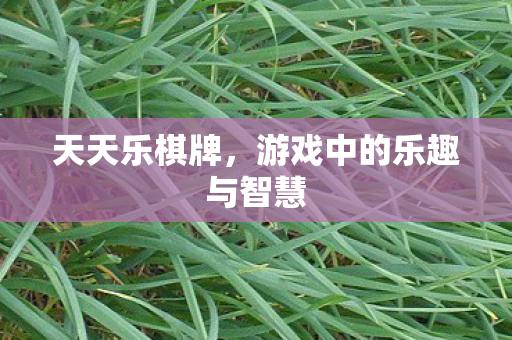 天天乐棋牌，游戏中的乐趣与智慧