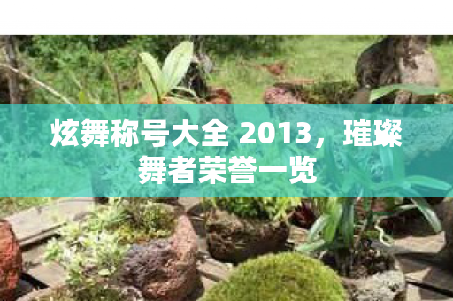 炫舞称号大全 2013,璀璨舞者荣誉一览