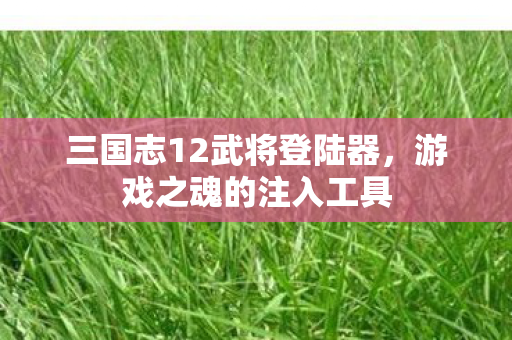 三国志12武将登陆器,游戏之魂的注入工具