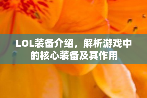 LOL装备介绍，解析游戏中的核心装备及其作用