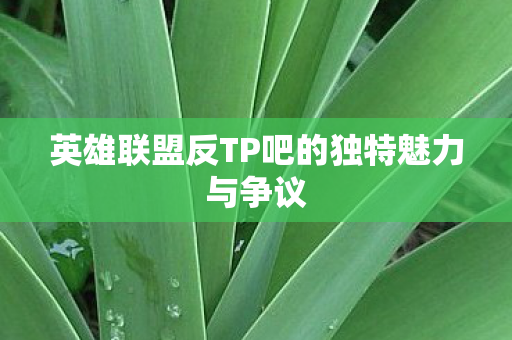 英雄联盟反TP吧的独特魅力与争议
