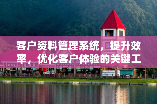客户资料管理系统，提升效率，优化客户体验的关键工具