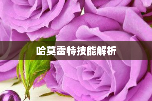 哈莫雷特技能解析