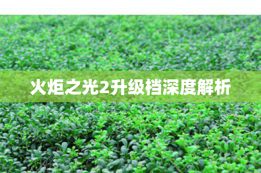 火炬之光2升级档深度解析