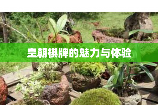 皇朝棋牌的魅力与体验