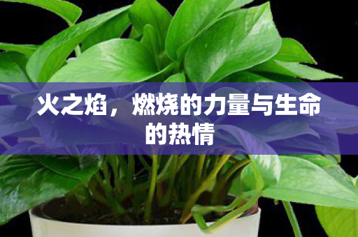 火之焰，燃烧的力量与生命的热情