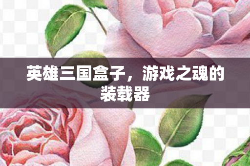 英雄三国盒子，游戏之魂的装载器