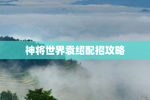 神将世界袁绍配招攻略