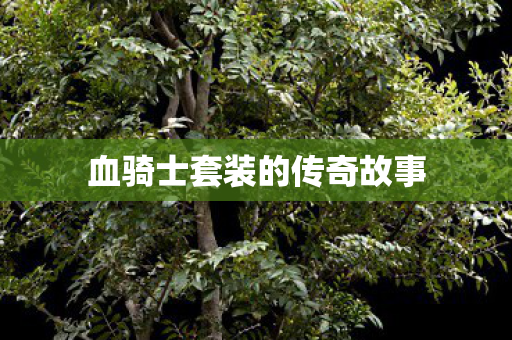 血骑士套装的传奇故事